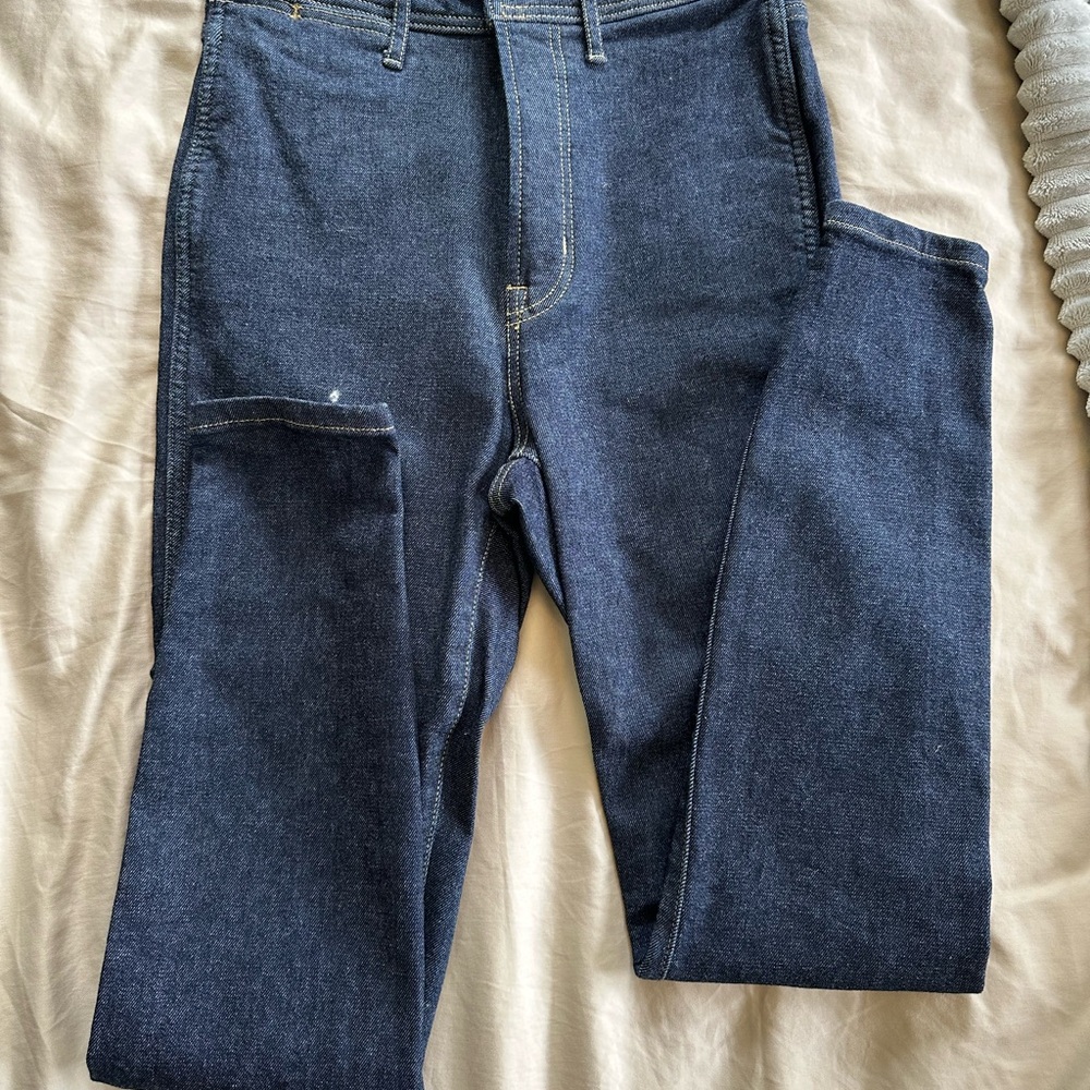 Everlane Blue Skinny Jeans with Distressed Detail